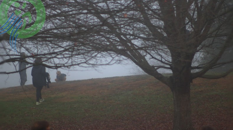 STXC Race 4 runners on the foggy start line at Hickories Park in Owego, NY.
