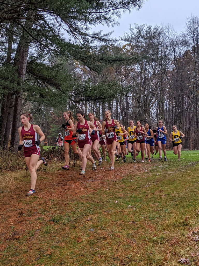 Pictures | Section IV XC Championships | CV State Park