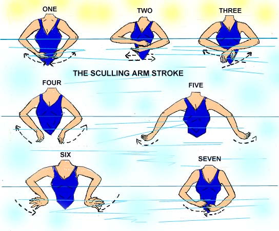 sculling for swimming and treading water in the pool and pool safety binghamton university