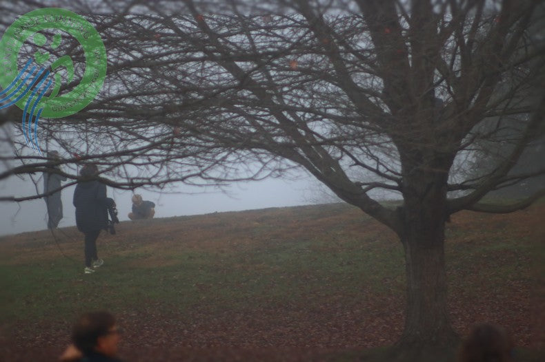 STXC Race 4 runners on the foggy start line at Hickories Park in Owego, NY.