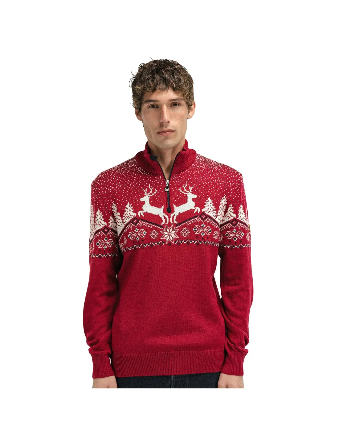Dale of Norway Christmas Sweater, men’s, Raspberry/Off White/Navy – front on model