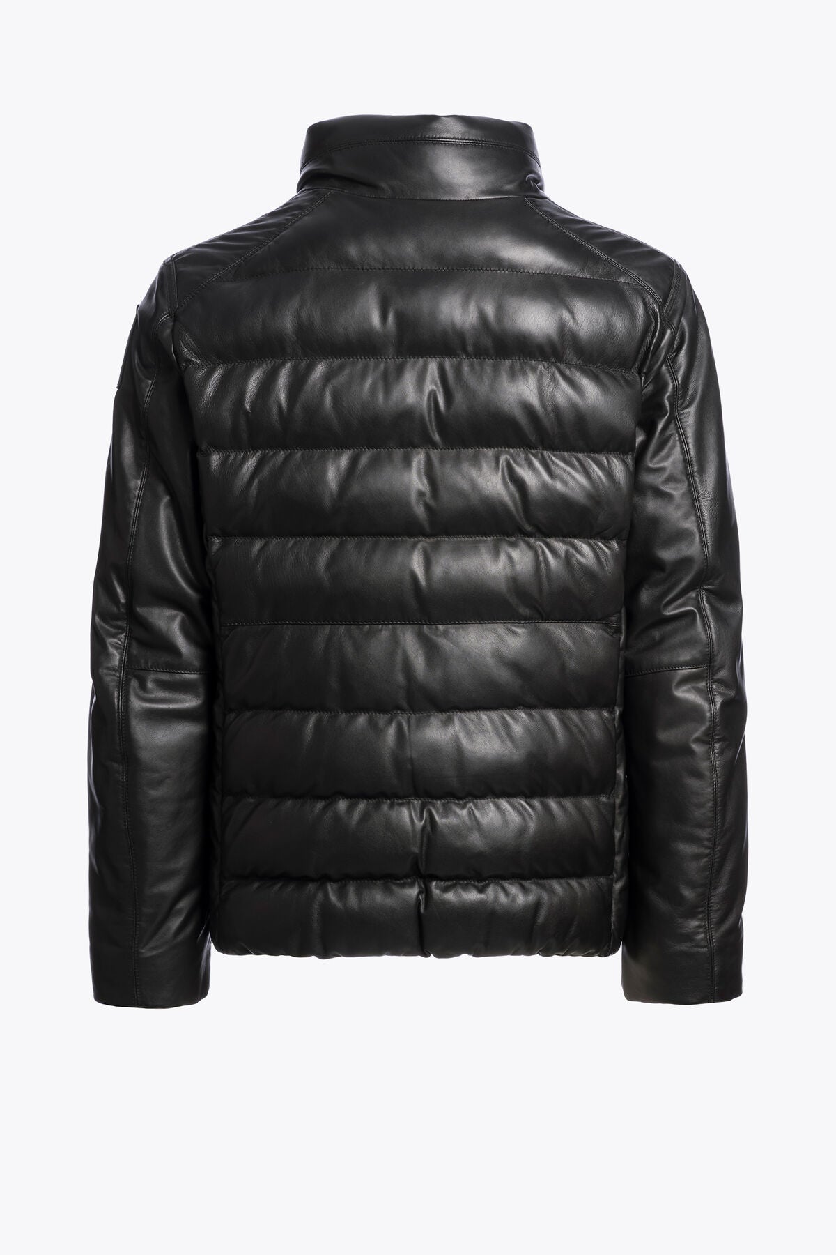 Men's Parajumpers Ernie leather jacket in Black, back view